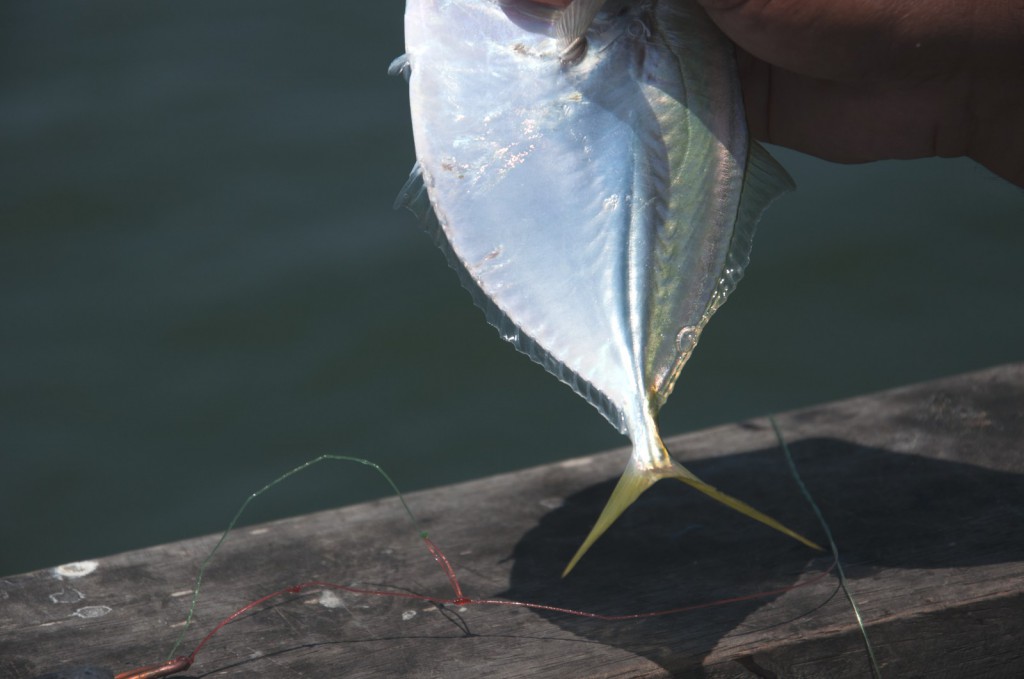 Pimentel Peru