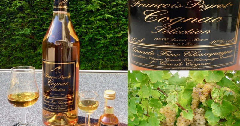 Mixie met Cognac François Peyrot