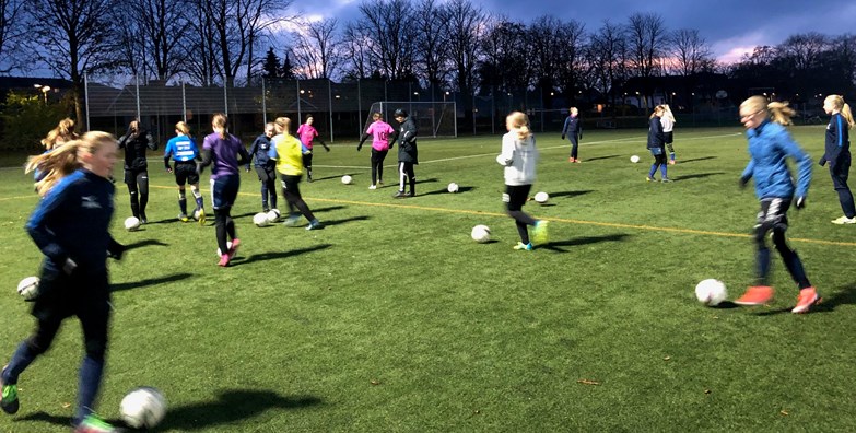 Ringsted Pigefodbold råder pt. over cirka 30 piger på U16-holdet. Førsteholdet spiller i Liga 1 i foråret. Det er den højeste række, når man ikke er licensklub. Andetholdet spiller i Række 2. (Foto: Ringsted Pigefodbold)