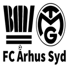 Turen til Verona Cup skal styrke fællesskabet i F.C. Aarhus Syd