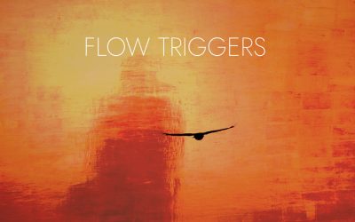 FLOW TRIGGERS and SEVEN SAILS