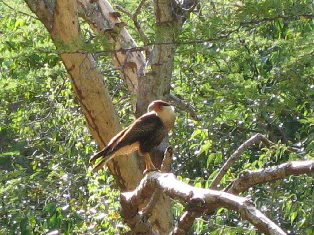 Bonaire