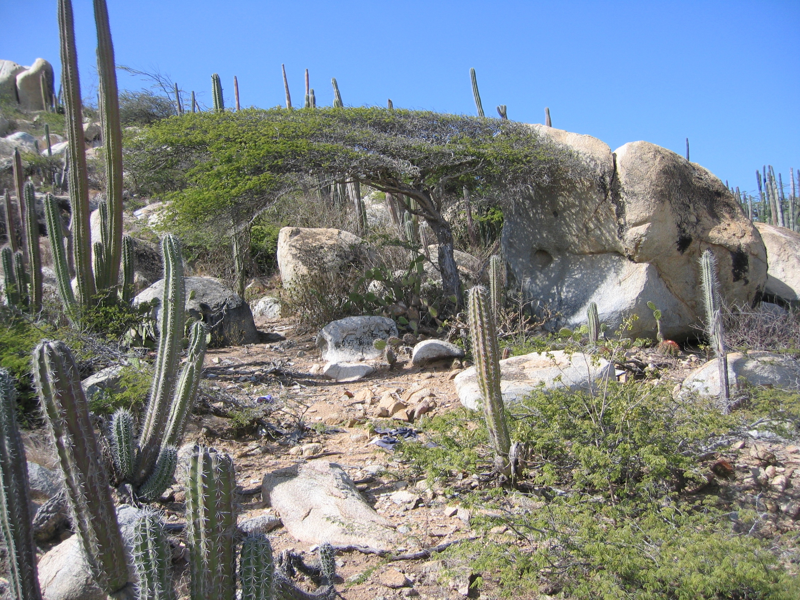 Aruba