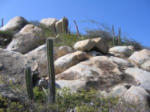 Aruba