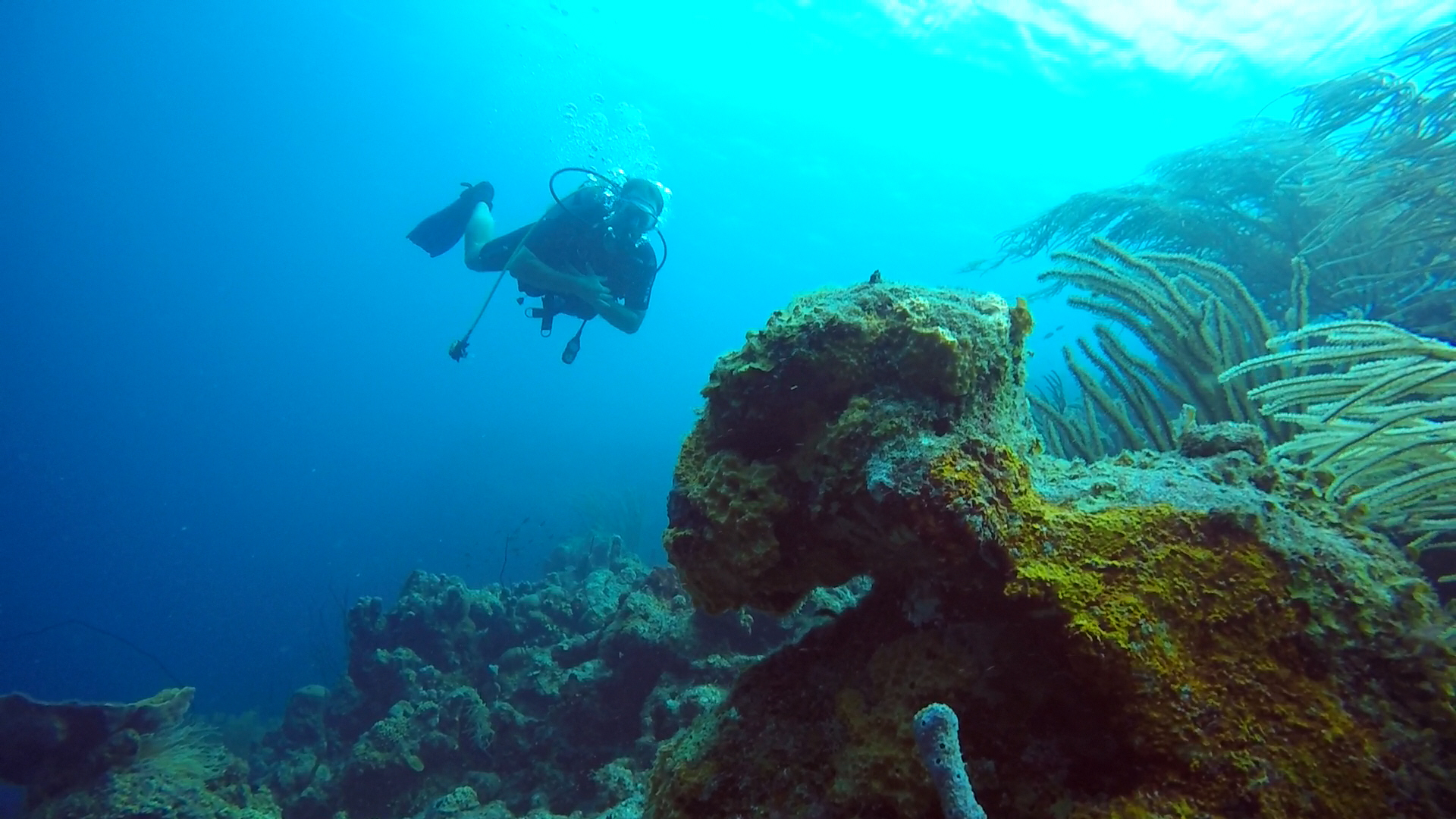 Bonaire