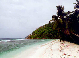 Seychellen strand1