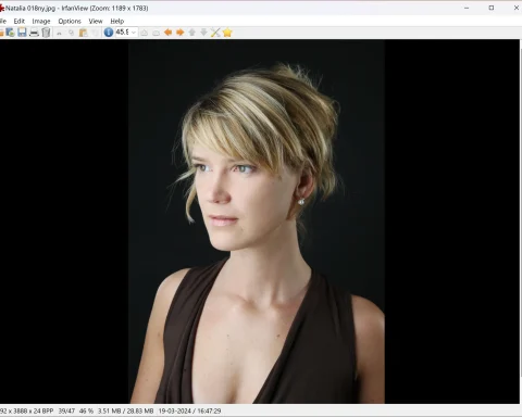 Et billede vises i programmet Irfanview i Windows