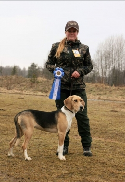 Hålandsbotens Beretta