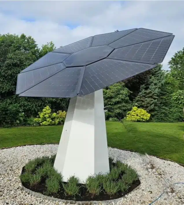 Ecoplant Rondell Trädgårdssmycke-Ecoplant-solföljare