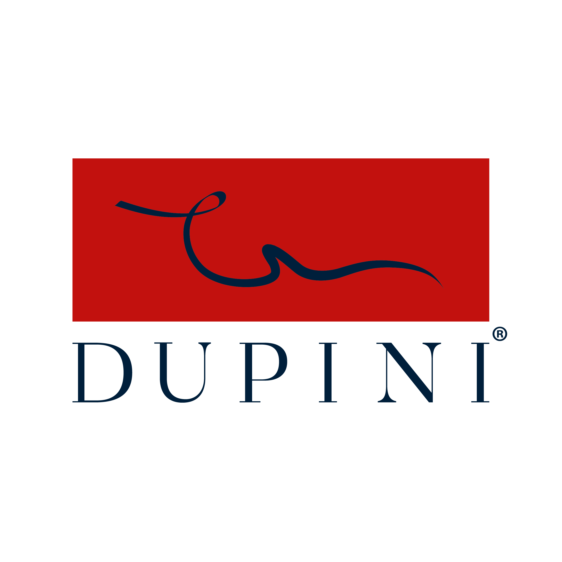 LOGO DUPINI-01