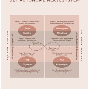 Det autonome nervesystem - plakat (70x100 cm)