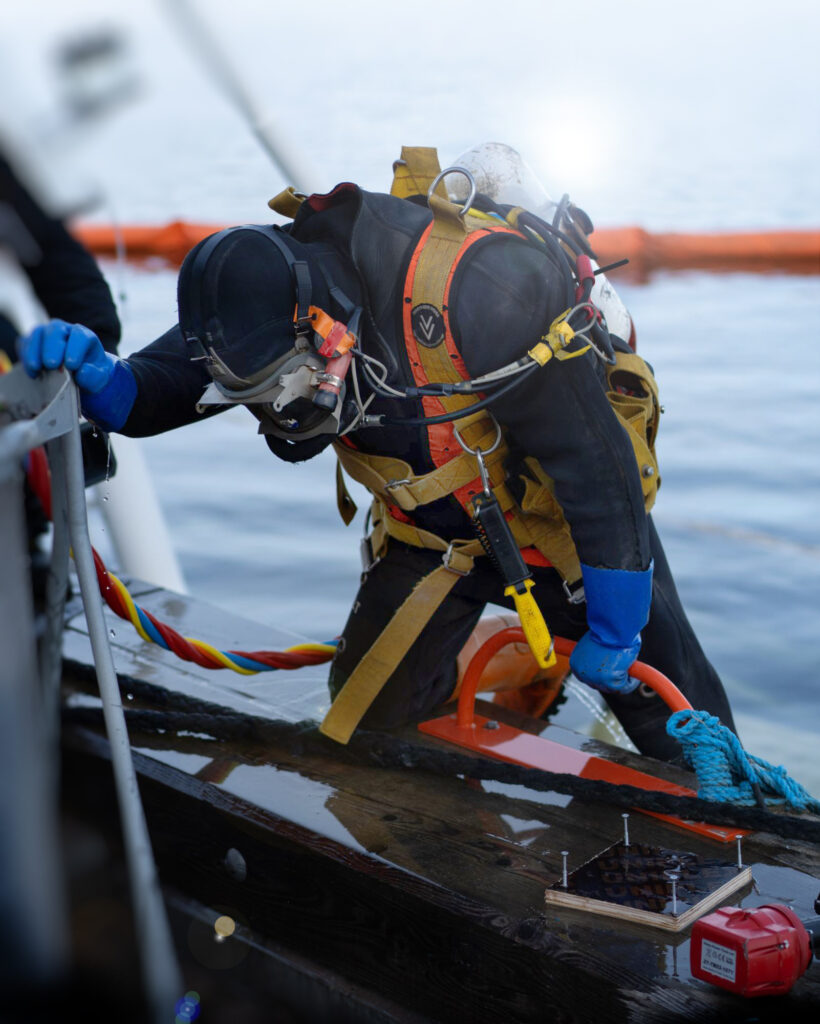 Erhvervsdykker Bjærgning