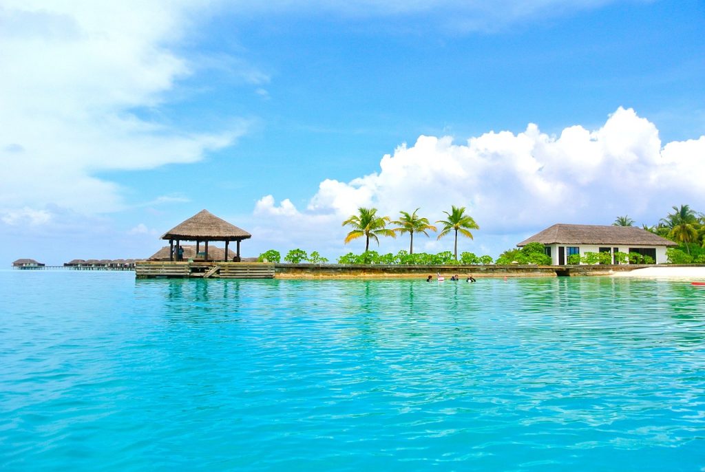 maldives, coconut tree, sea-262511.jpg
