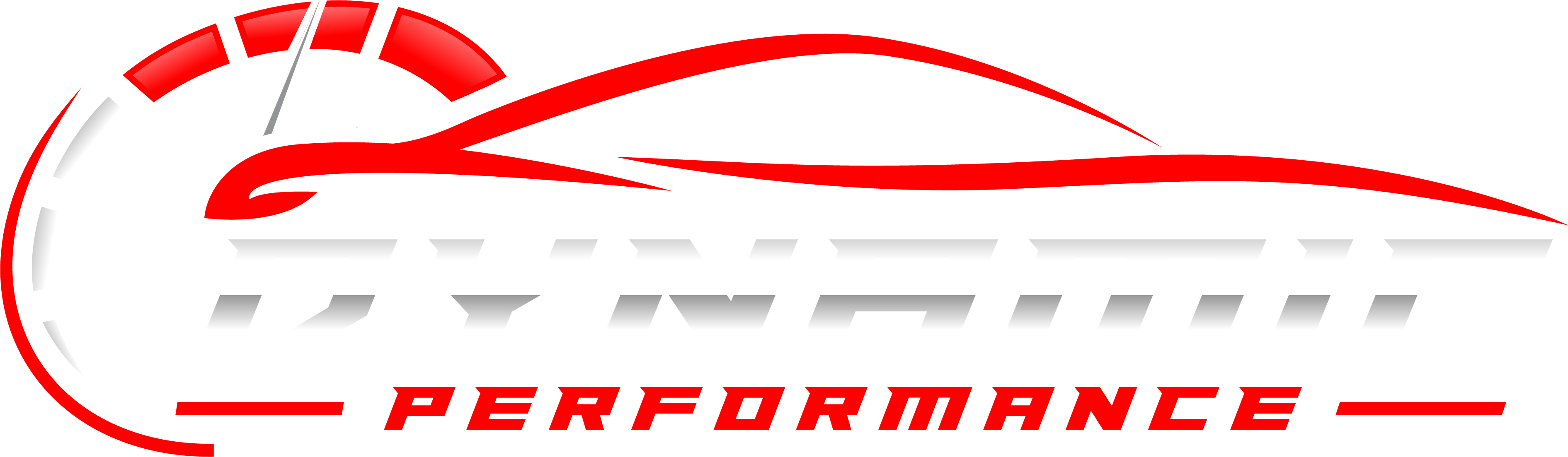 dynamic performance logga