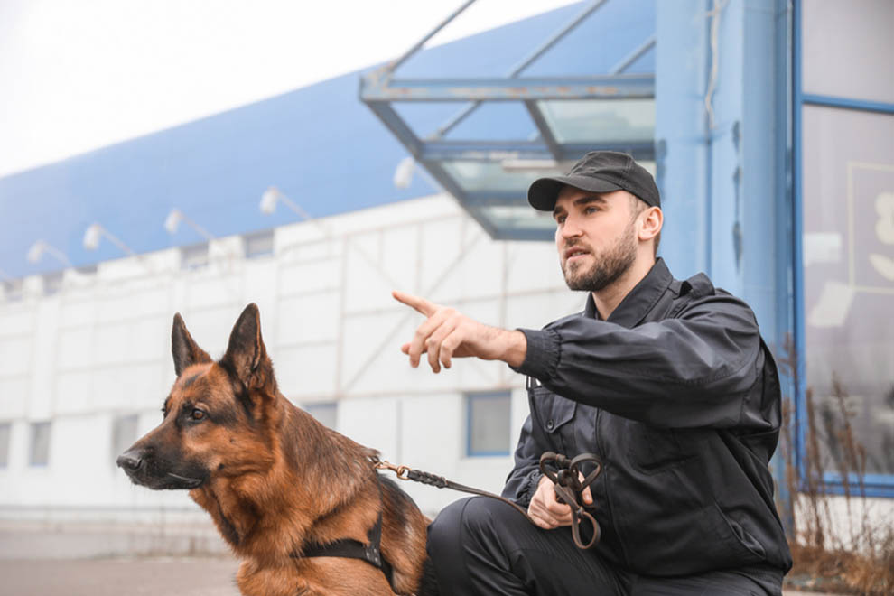 dog unit security (home page)