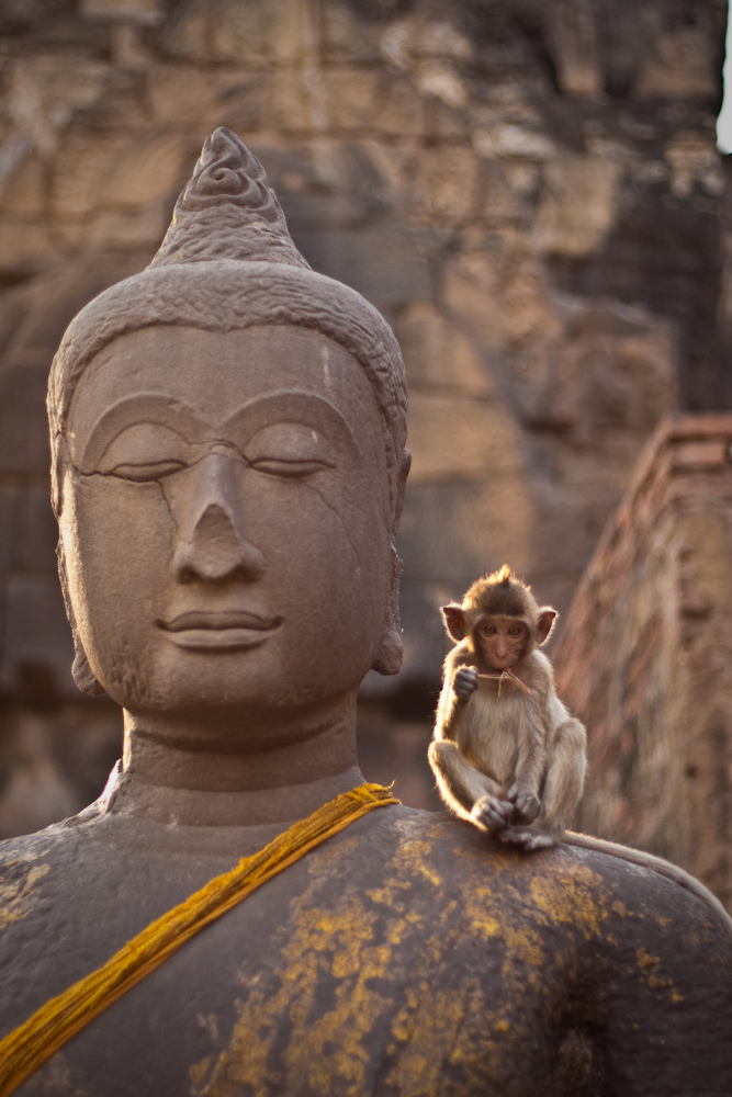 Solointerview: Monkey Mind