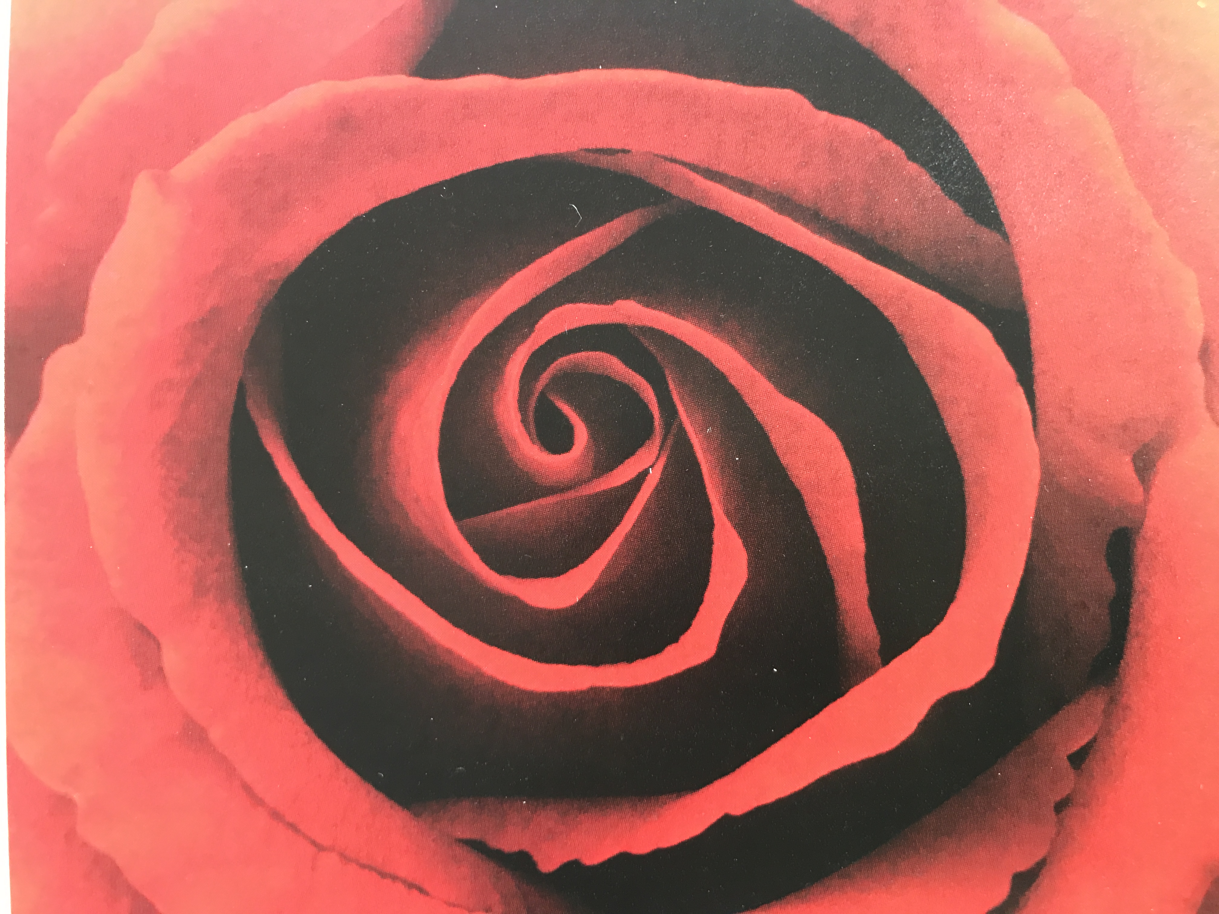 3 courses: The Spiral Vinyasa