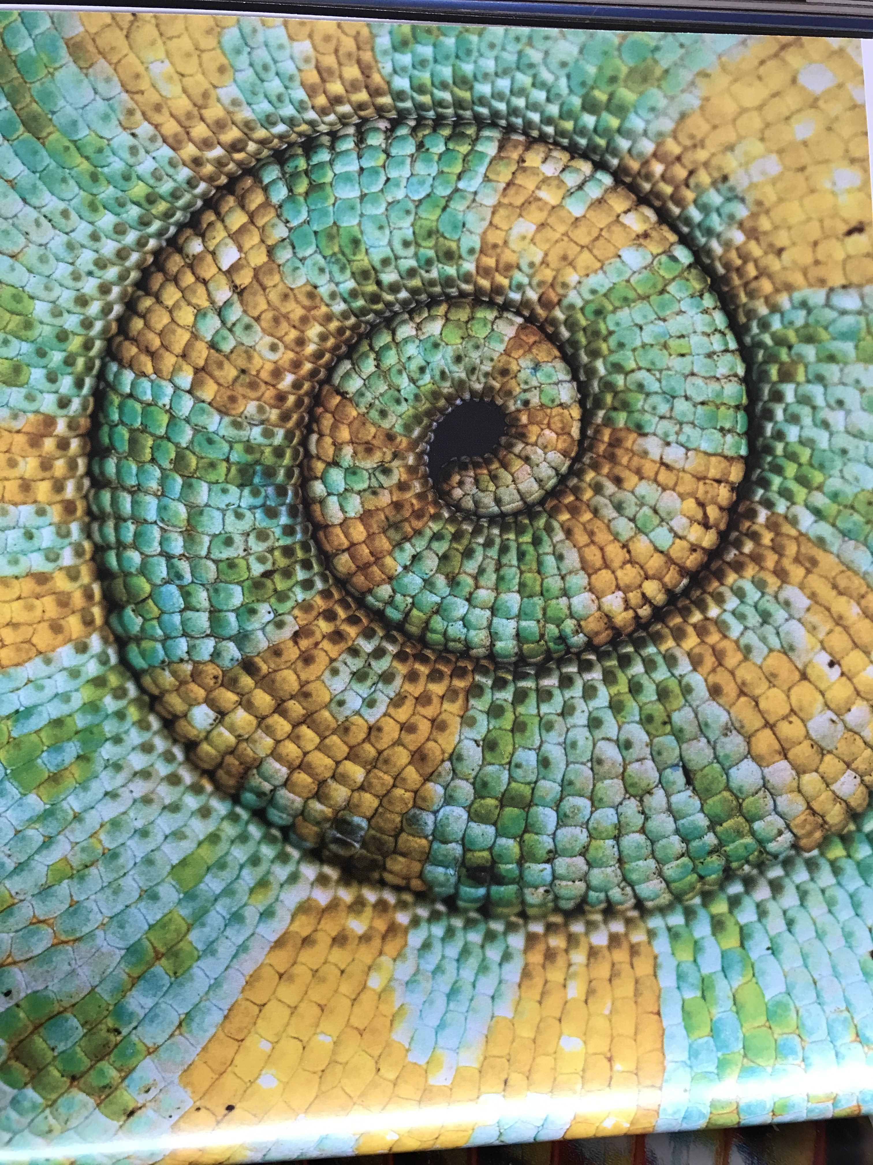 Spiral Vinyasa niveau 2 (Kursus i København)