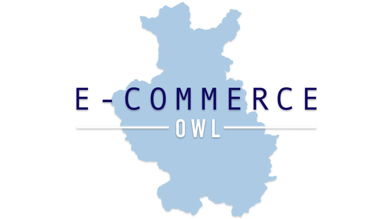Logo-E-Commerce-OWL - JPG