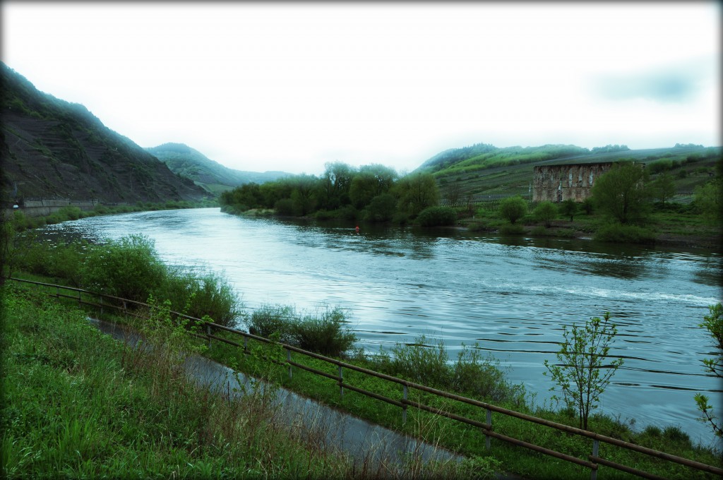 Moselle river cycle route