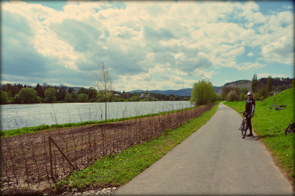 Moselle cycle route