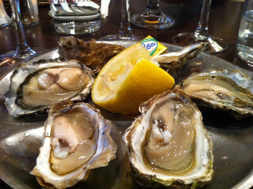 Oysters