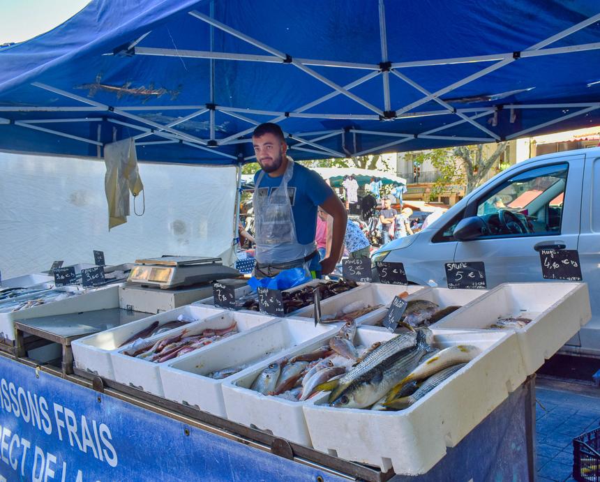 Fresh fish merchant at the Casanyes Market