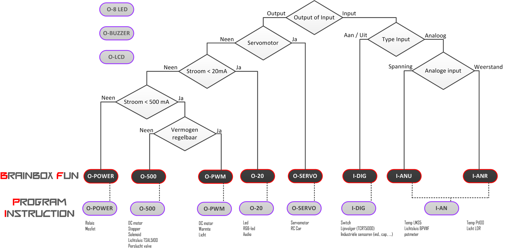 BBF BRAINCHART