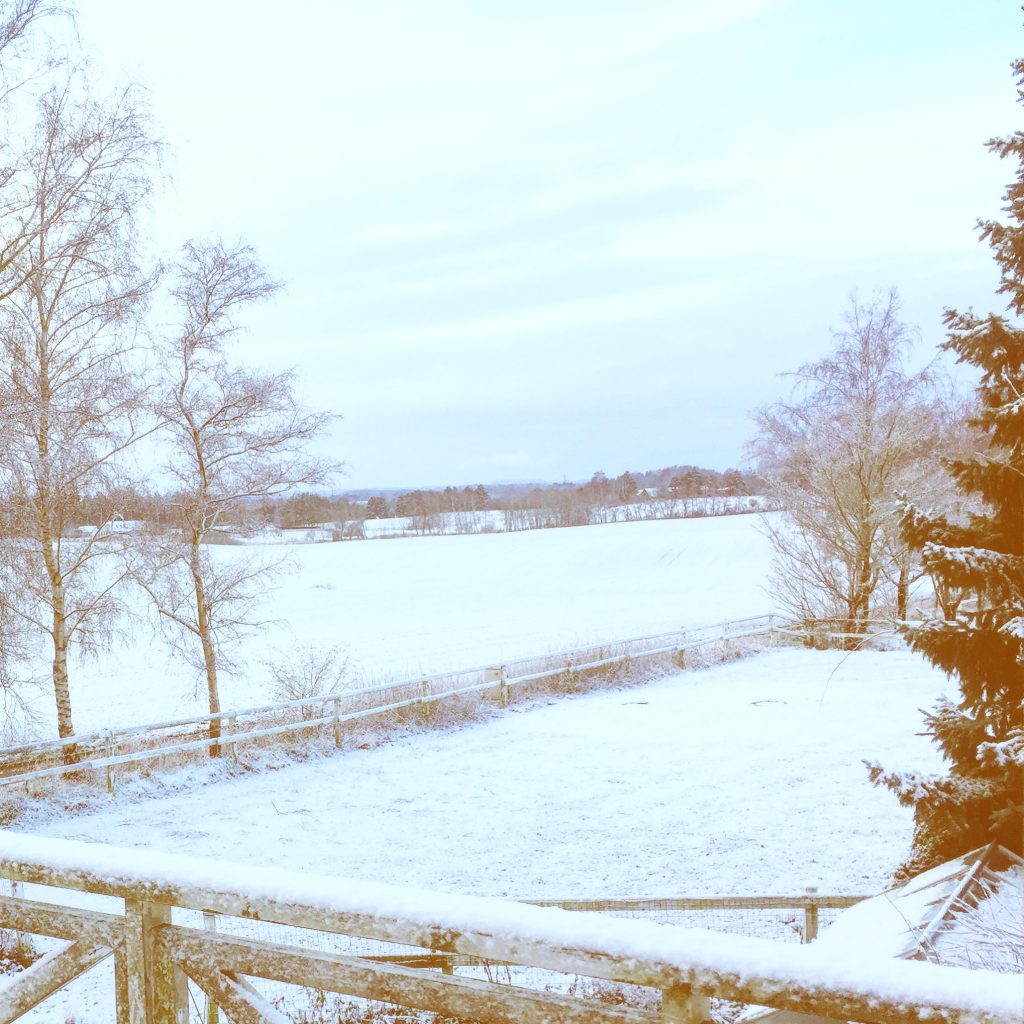 Snowy Landscape