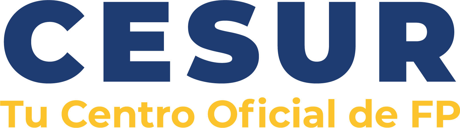 logo-cesur-2022-b&y