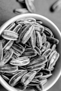 Sunflower Seeds, East Trade Group