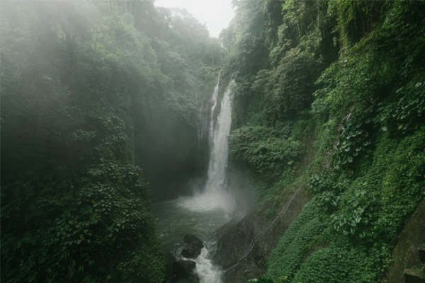 Giorno 4 - Munduk: trekking tour e cascate
