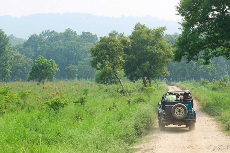 Koh Samui - Tour nella giungla in Jeep & Elephant Camp