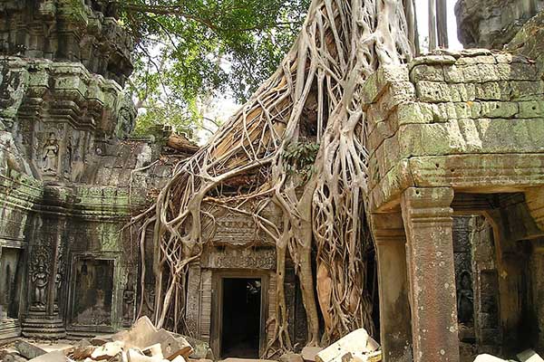 GIORNO 2 - Visita di Ta Phrom , Angkor Thom e Preah Kan