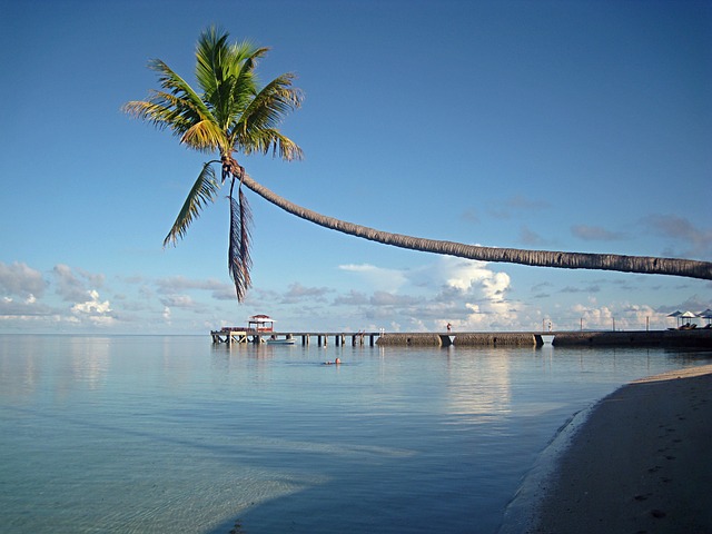 Giorno 11 - Gioranata libera alle isole Togean