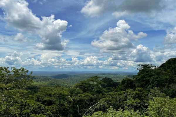 Giorno 5- Esperienza nella giungla a Ratanakiri