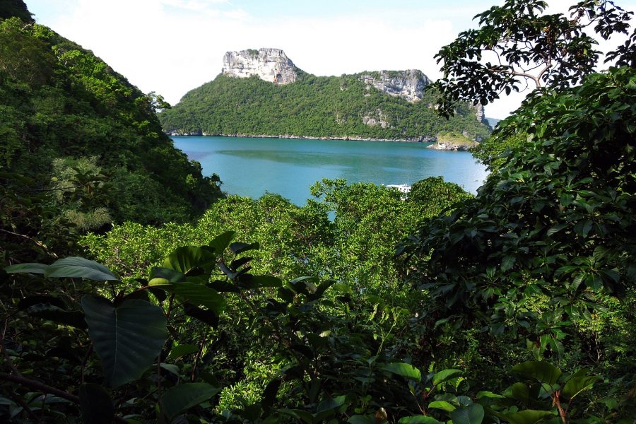 Koh Samui - Escursione VIP al Parco Marino di Ang Thong