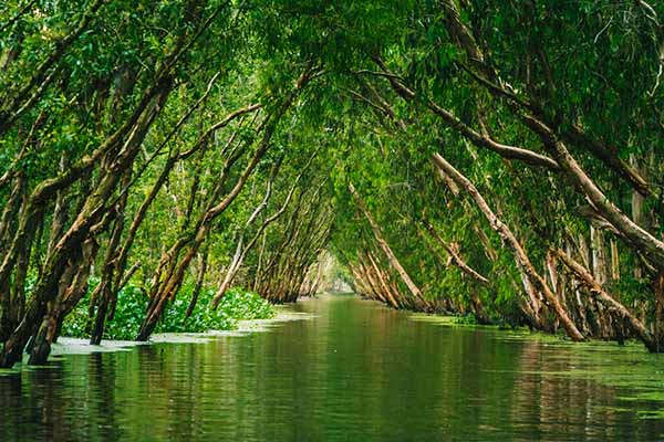 GIORNO 8 – Il Delta del Mekong: il mercato galleggiante di Cai Rang e la riserva naturale di Tra Su
