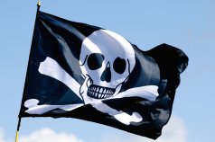 Pirate Life joins AB InBev Portfolio