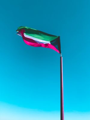 Kuwait Flag