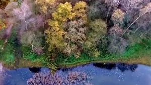 Echterlandj: Natuurschatten - Kranenbroek