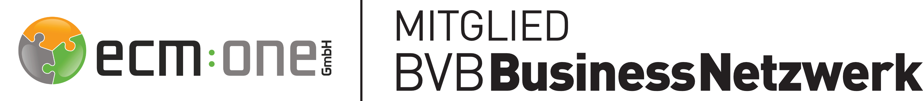 ecmone-muenster-bvb-business-dortmund-dokumentenerkennung-dokumentenmanagement-workflowmanagement-mobiles-arbeiten-partner-logo-genossenschaftsverband