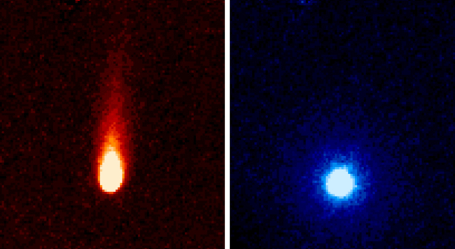 Komeet ISON door de Spitzer ruimtetelescoop  foto: NASA/JPL-Caltech/JHUAPL/UCF