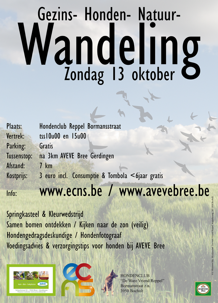 wandeling reppelklein