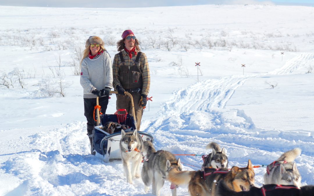 Weekend with sled dogs