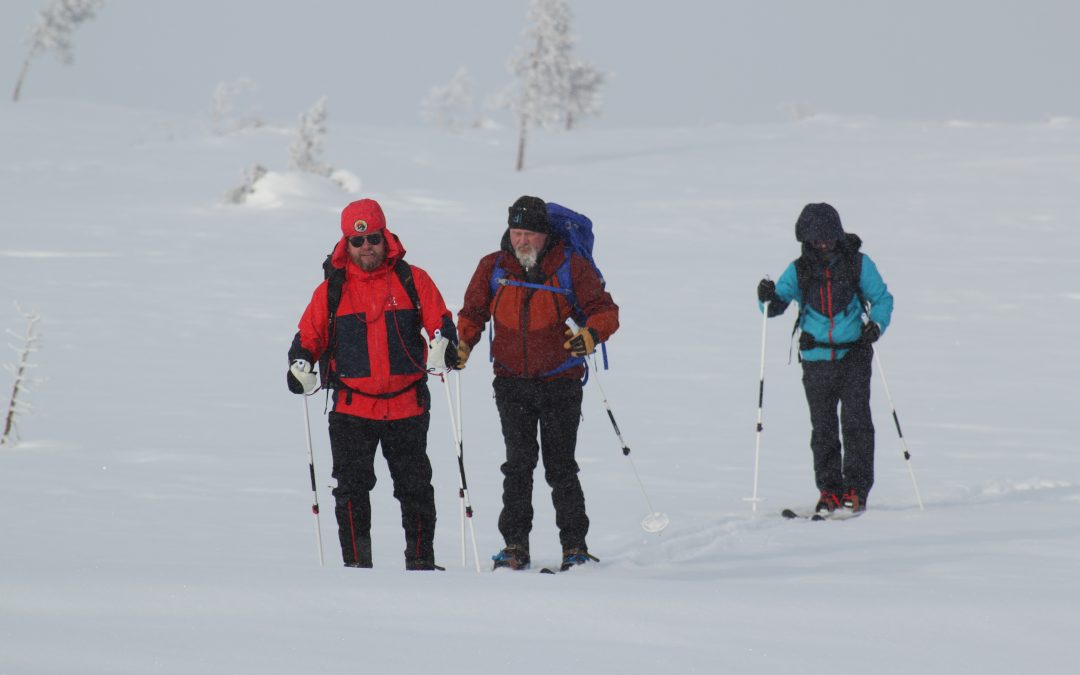 Introduction to Mountain forrest skiing & tracking