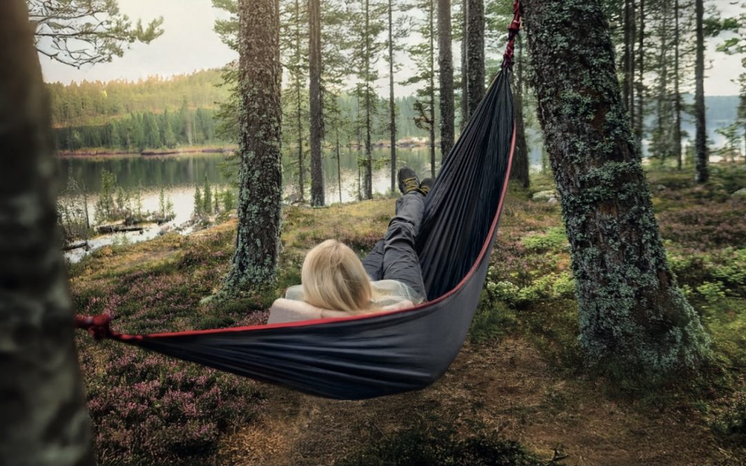 Skogslugn – a unique forest retreat experience