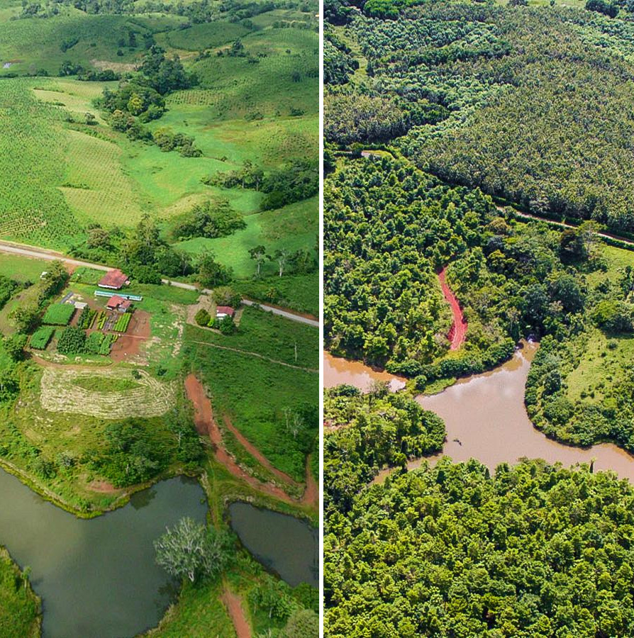før og efter billede af en Gold Standard projekt med genplantning af skov i Costa Rica