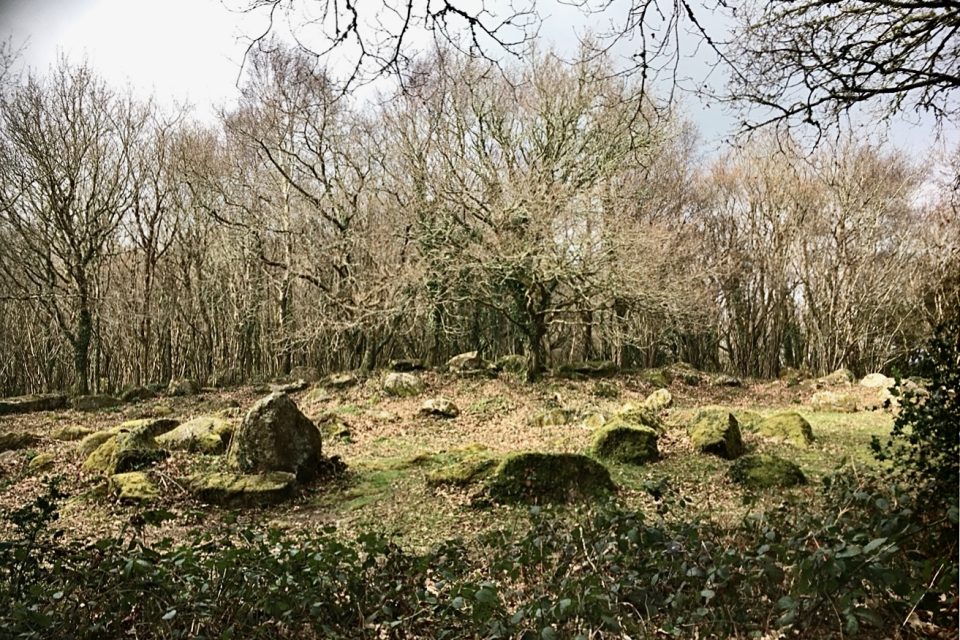 Hut circle on Lustleigh Cleave