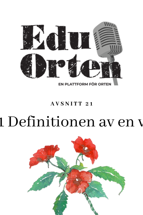 #21 Definitionen av en vän